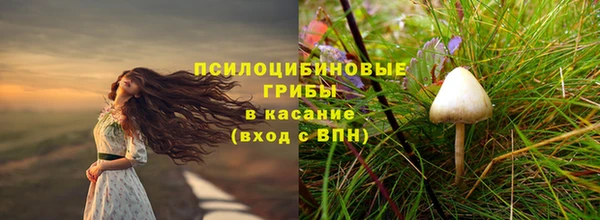 марки lsd Горняк